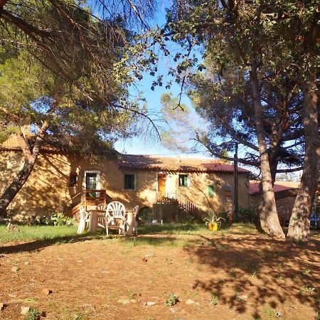 Maison Entiere Hameau Monastir Del Camp Passa Екстер'єр фото