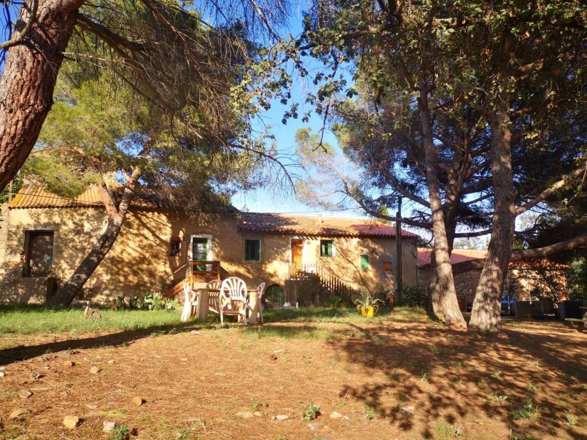 Maison Entiere Hameau Monastir Del Camp Passa Екстер'єр фото